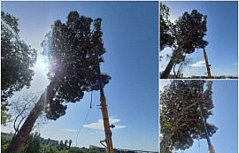 Abattage par d&eacute;montage